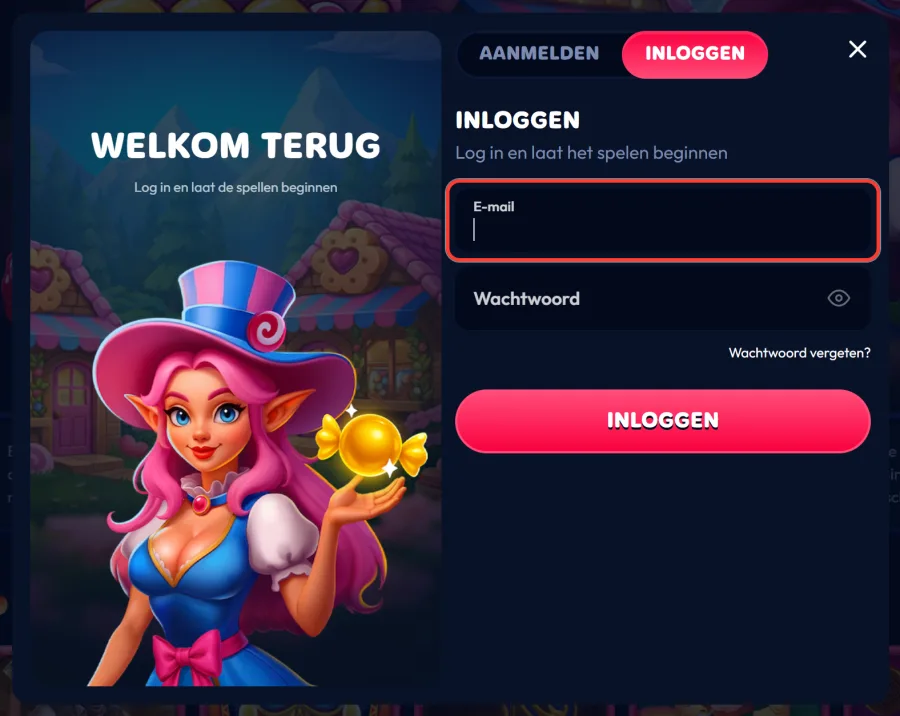 E-mailveld in het inlogformulier gemarkeerd